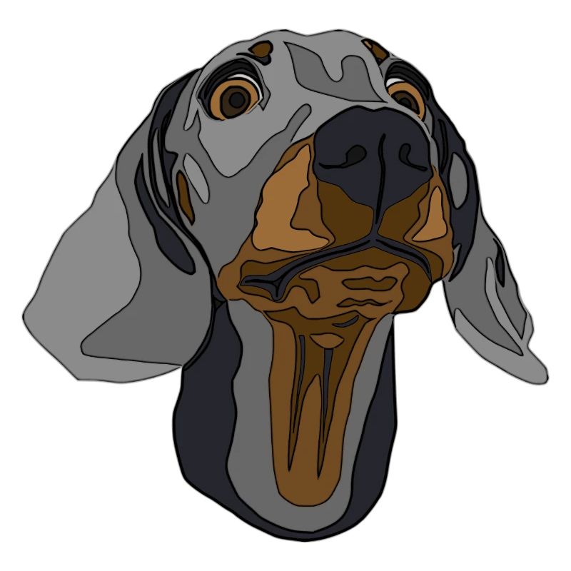 Teckel, chien de toit