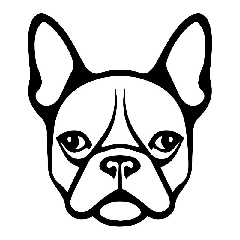 Bouledogue français Terrier de Boston