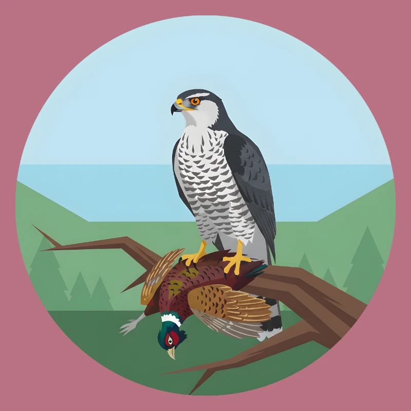 Épervier avec faisan