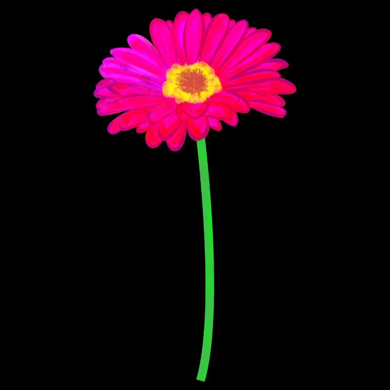 Gerbera