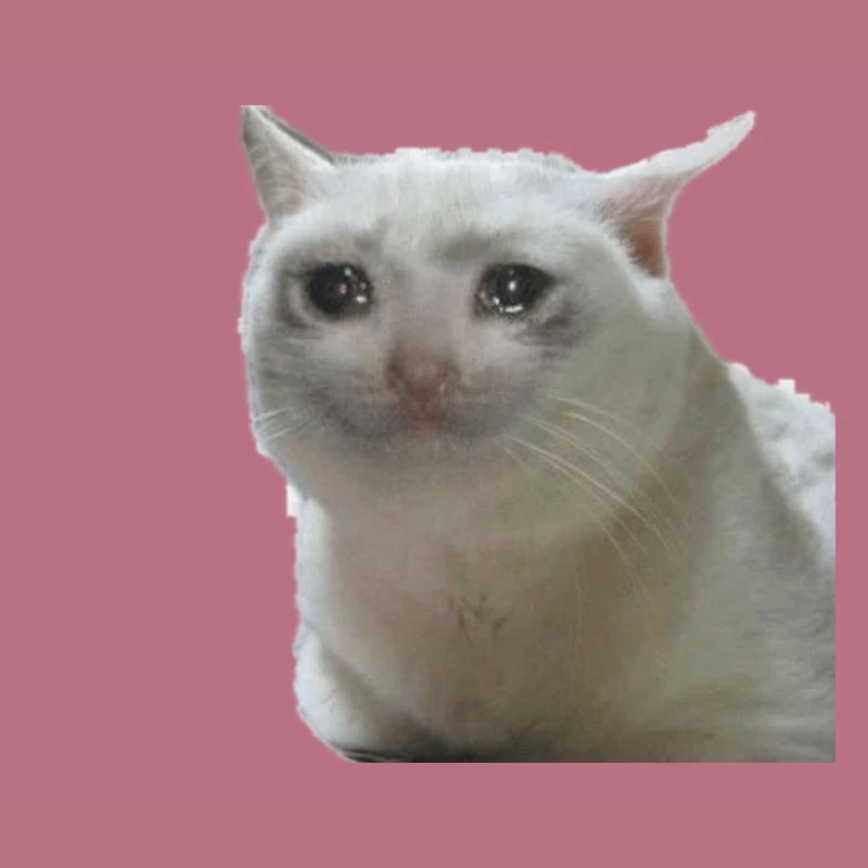 Chat meme