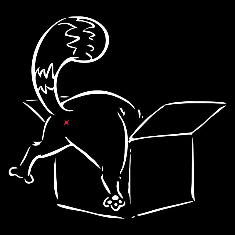 Chat dans une boîte Chat Non Non majeur drôle