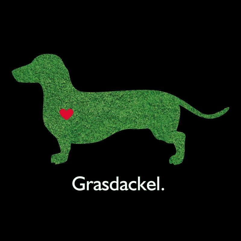 Grasdackel