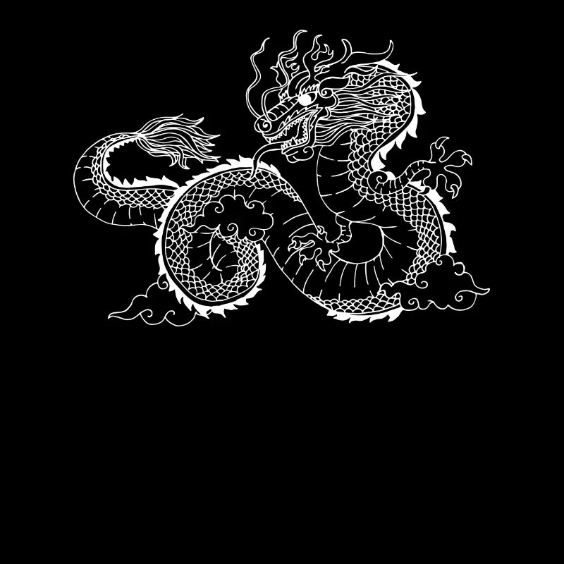 mit chinesischen Drachen chinesischem Drache asia