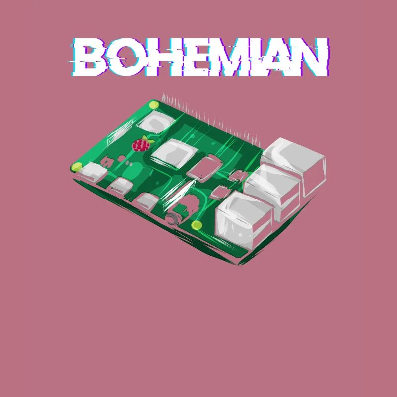 Bohemian Raspberry computer scientist programmer Pi