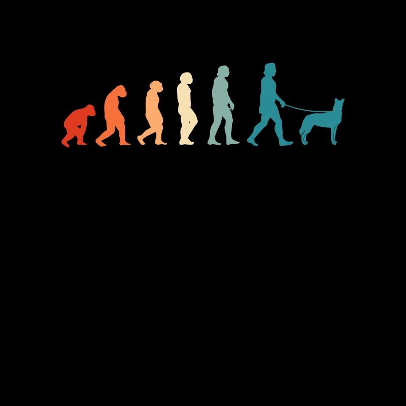Kurzhaarcollie Evolution Schottland Collie Vintage