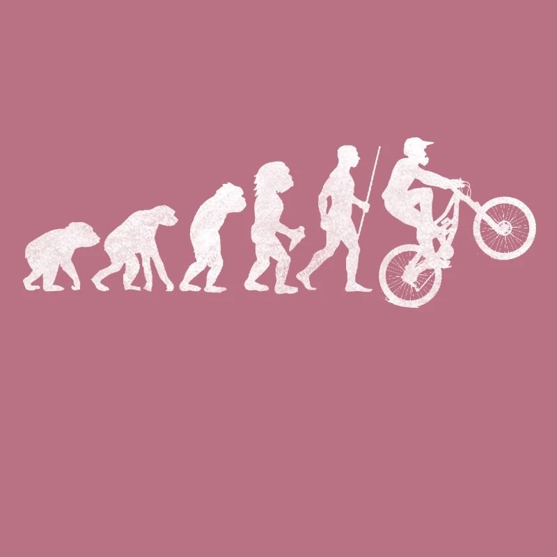 Bicycle Evolution Development Stone Age Leisure