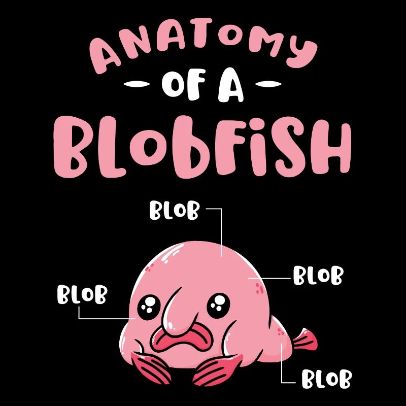 Anatomie Eines