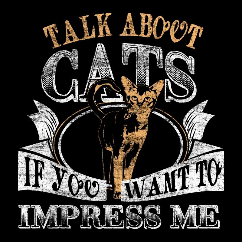 Katze Katzen