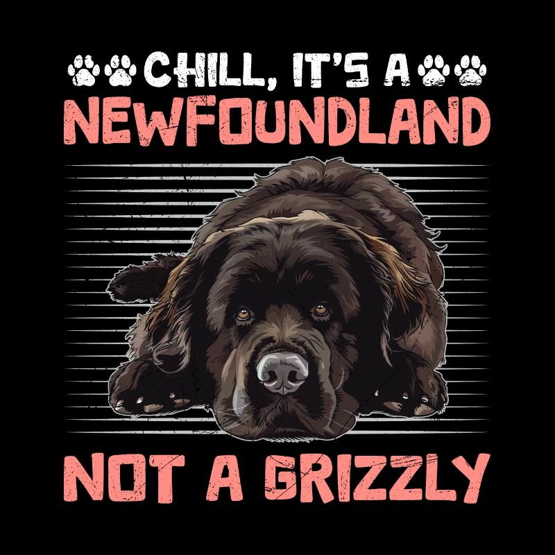 LE PROPRIÉTAIRE DE NEWFIE CHILL C’EST UN TERRE-NEUVE PAS UN
