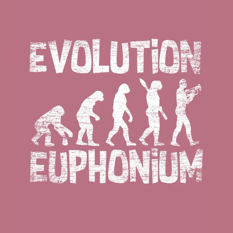 Euphonium development