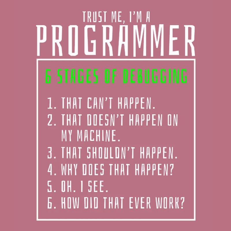 Debugging stages computer programmer
