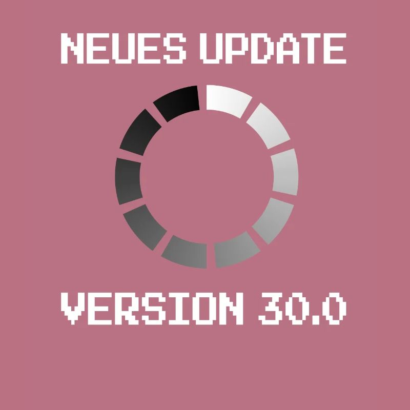 Programmierer 30. Geburtstag informatik Geschenk
