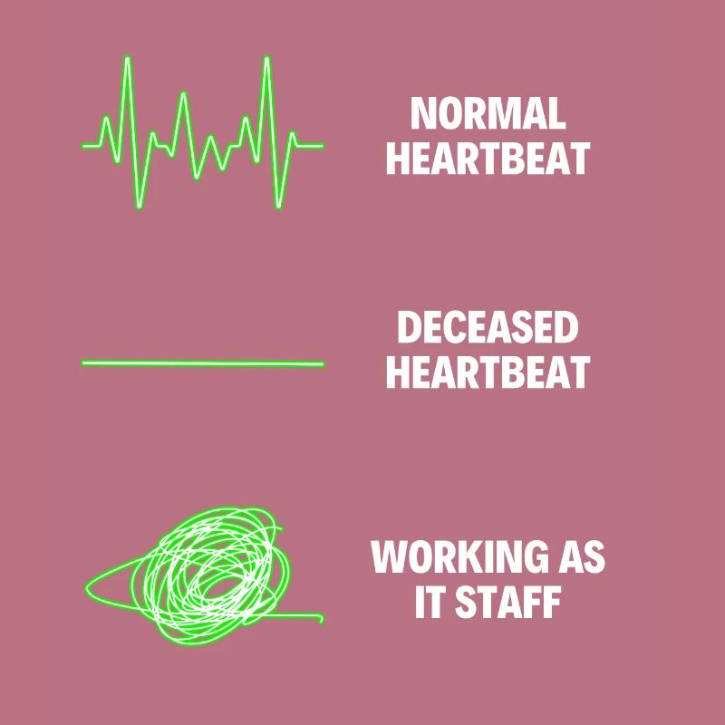 IT Staff Worker IT Computer