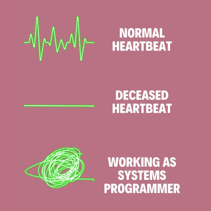 System Programmer Funny System Worker Programmers