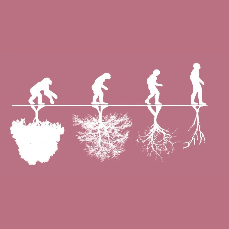 Evolution Kritik
