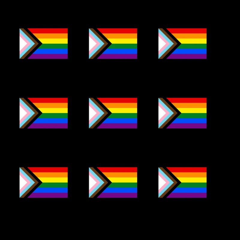 Drapeau de la Fierté du Progrès