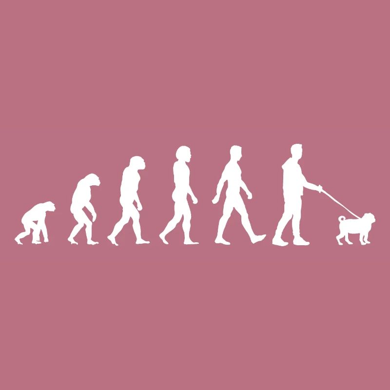 Mops Evolution Pug Hundebesitzer