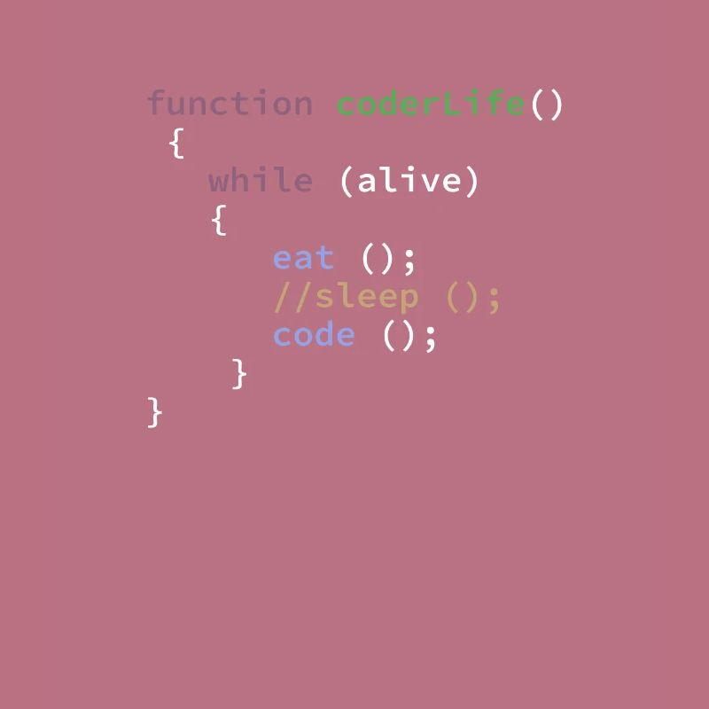 Funny Programmer Life Function