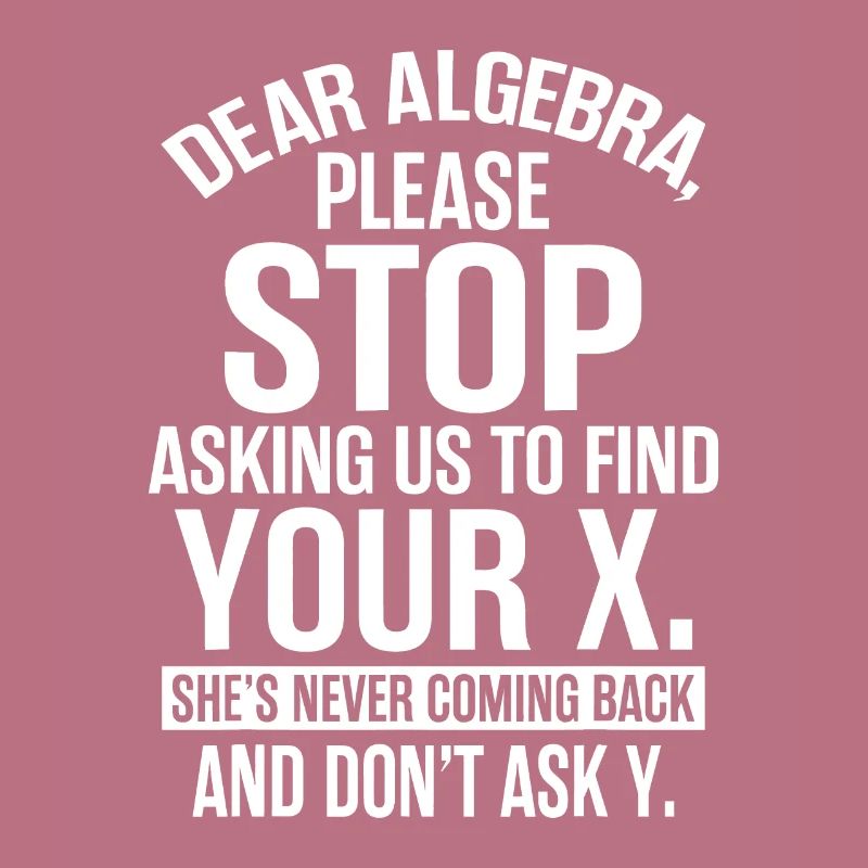 Algebra Lehrer Kleidung - Awesome Funny Math Teach