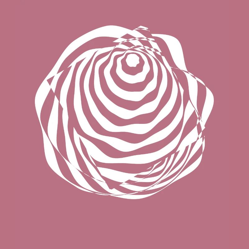 Illusione Illusione ottica Percezione