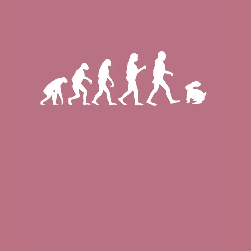 Rabbit evolution funny bunny