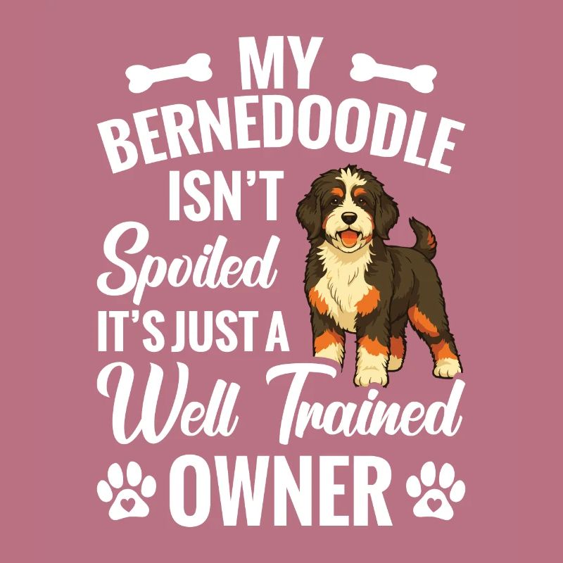 Mon Bernedoodle n’est pas gâté, c’est juste