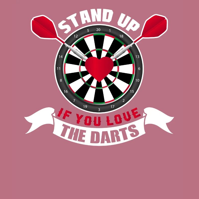 Dart dart player dart board Steeldart E-Dart