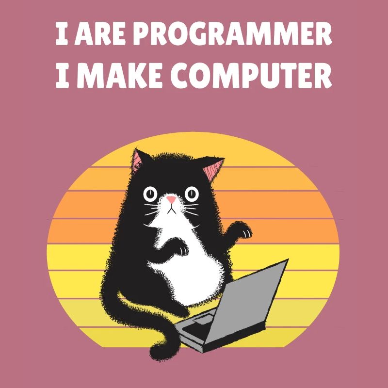 I are Programmer I Make Computer