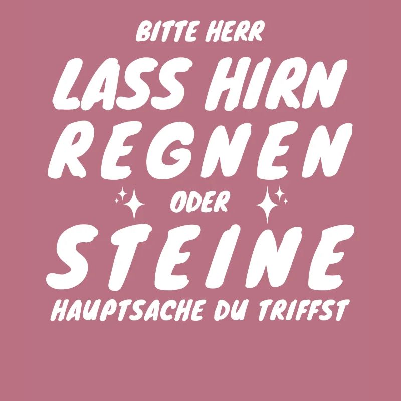 New Bitte Herr lass Hirn regnen oder Steine...