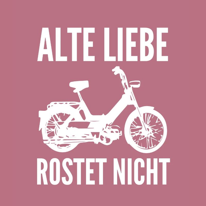 DDR Moped Oldtimer Roller Mofa Scooter 2 Takter