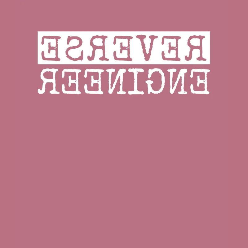 Reverse Engineer Softwareingenieur Developer