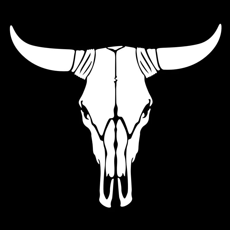 Crâne de vache