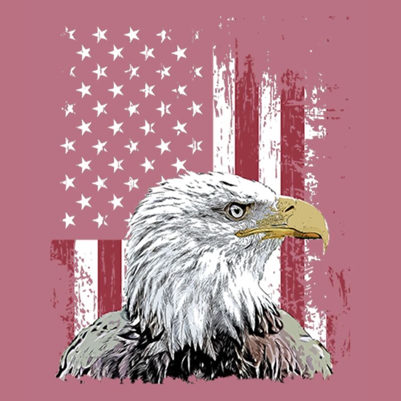 Independence Eagle American Flag Eagle