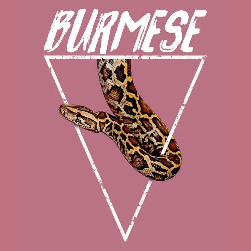 Burmesischer Python Besitzer Geometrisch