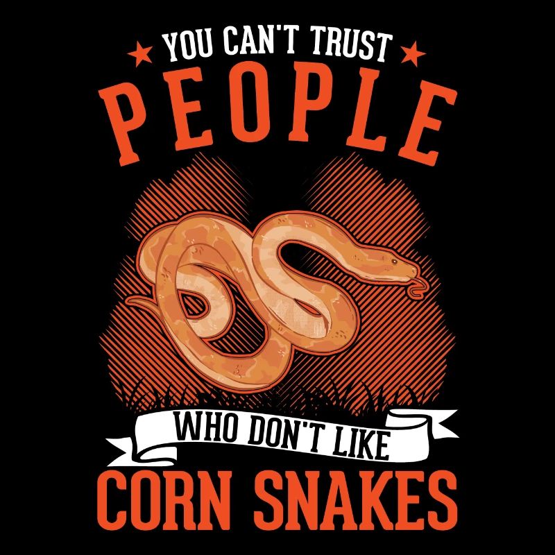 Corn Snake Gift Corn Snake