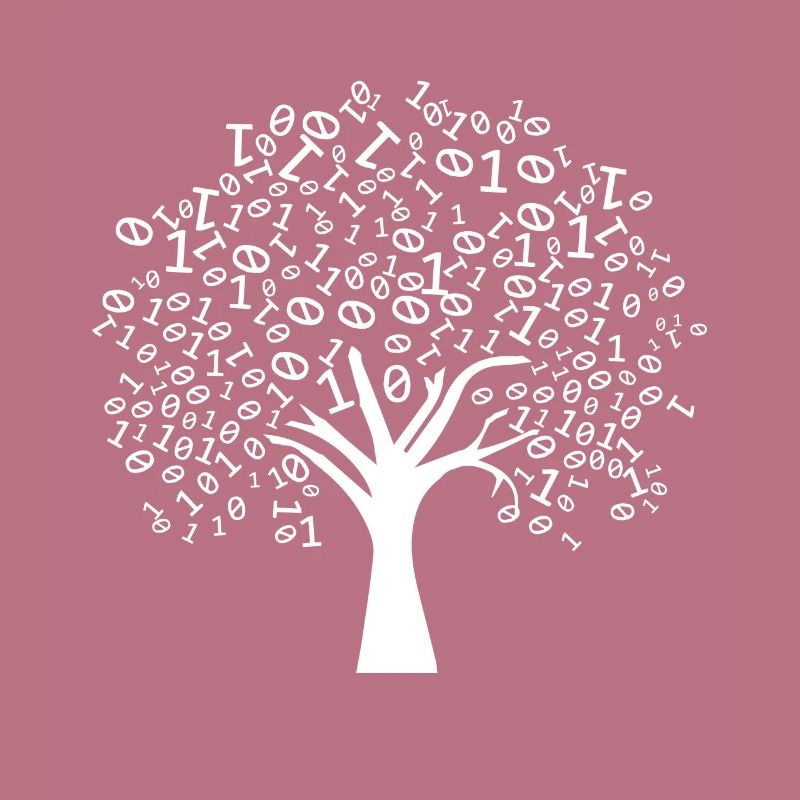 Programmeur Arbre binaire