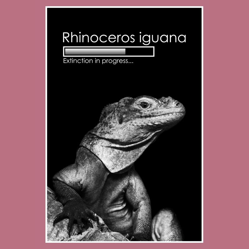 Extinction in progress