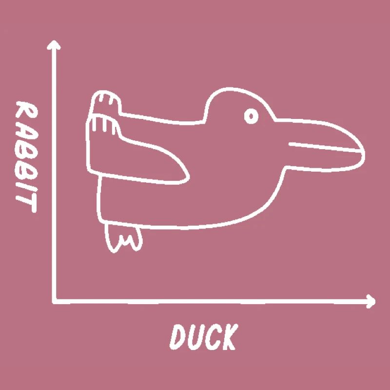 Duck Rabbit Graph Shirt - Fun Math Teacher Easter