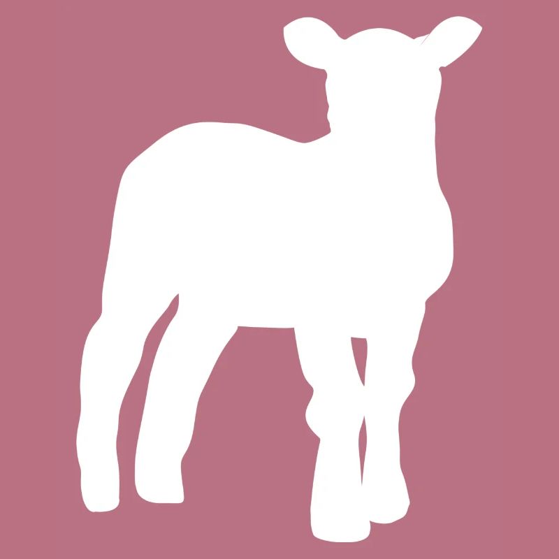 lamb