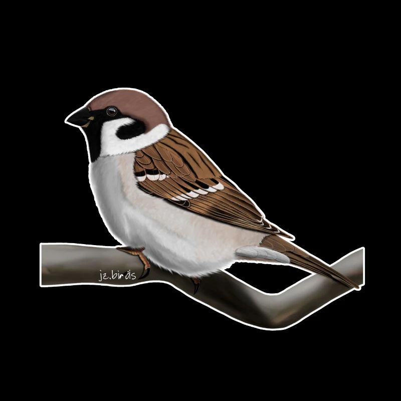 Vogelmotiv Feldsperling Vogel Tier Design