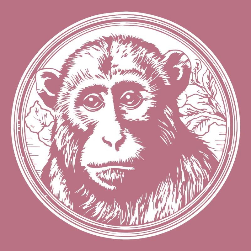 Affe Affen Affengesicht Dschungel
