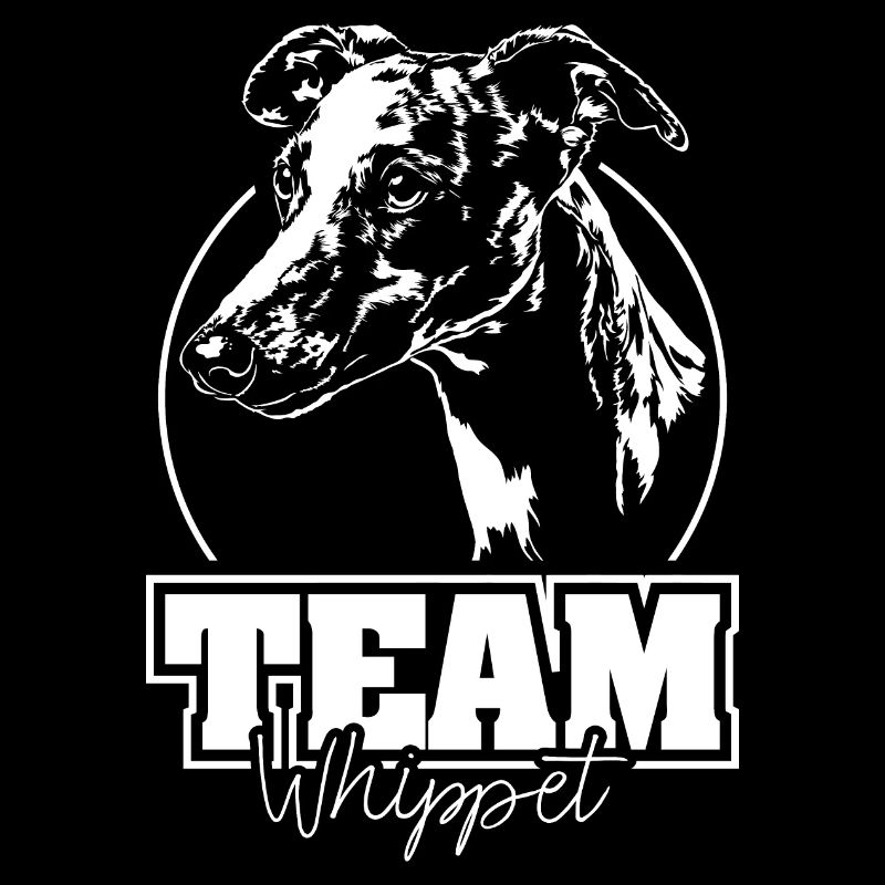 ÉQUIPE WHIPPET Chiens Lévriers Wilsigns