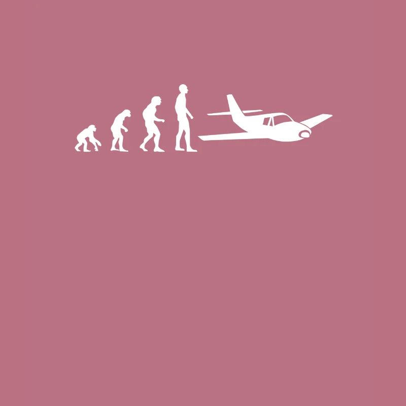 evolution pilot flugzeug