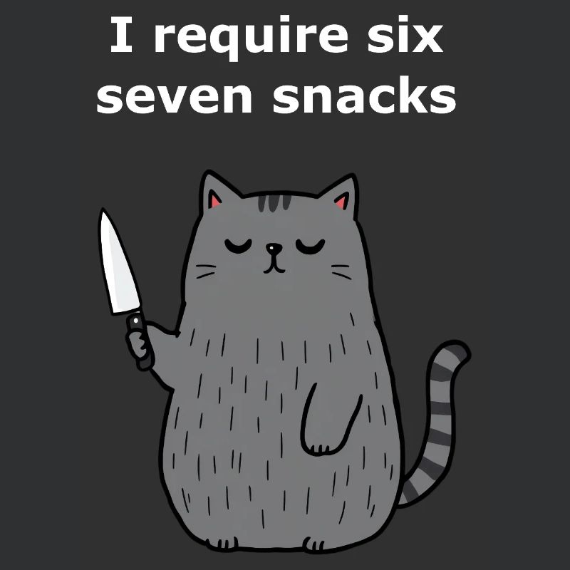 6-7 Internet Meme 6 7 Snack Cat