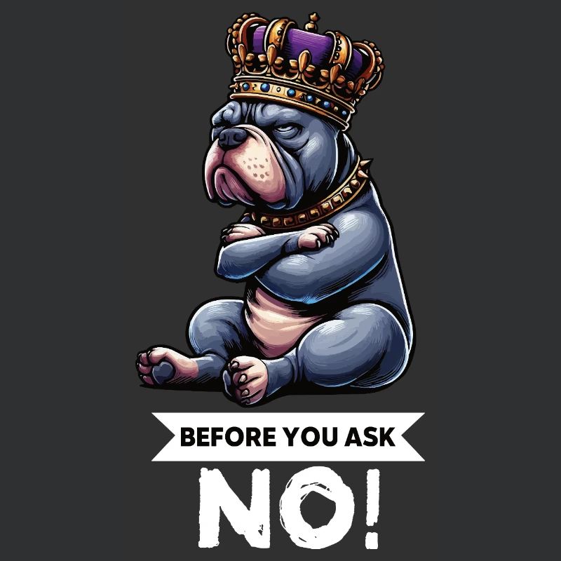 Before You Ask American Bully Bully Pit Bullys