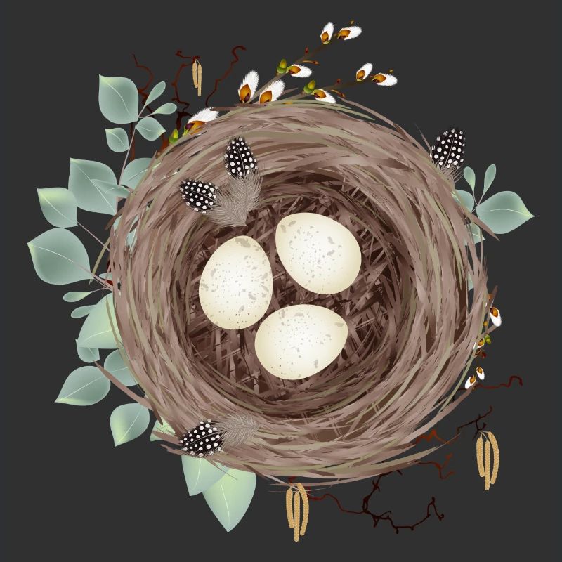 Vogelnest oder Osternest mit drei Eier und Federn