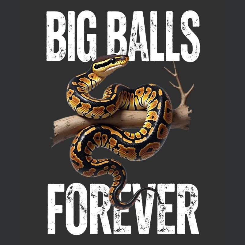 Python roi Serpents Amateurs de terrarium Python