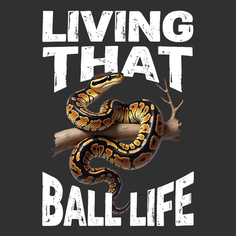 Königspython Schlangen Liebhaber Terrarium Python