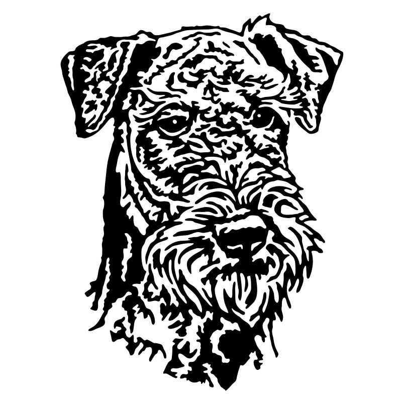 308 Airedale Terrier